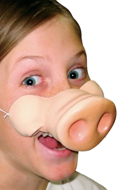 Generic Pig Nose Accessory Animals