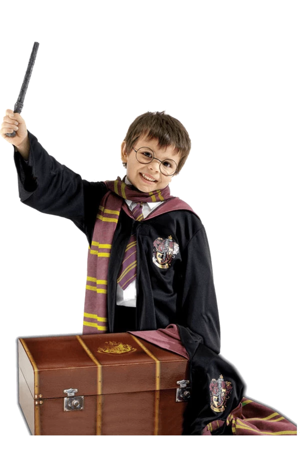 Rubies Childrens Deluxe Harry Potter Costume And Trunk Book Characters
