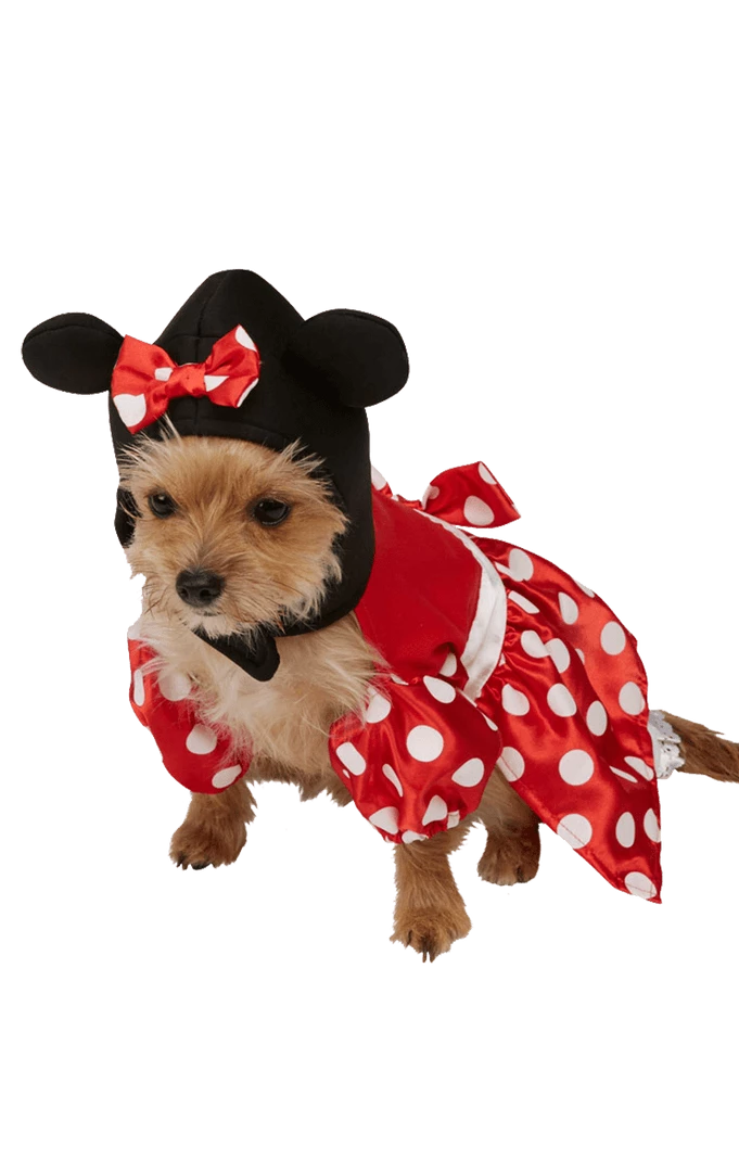 Rubies Minnie Mouse Dog Costume Book Characters