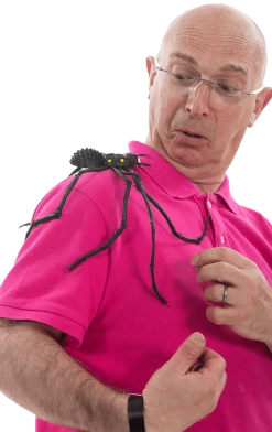 Smiffys All Party Decorations And Props Large Black Spider Decoration