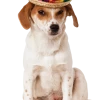Rubies Enchiwawa Sombrero Dog Costume Around The World