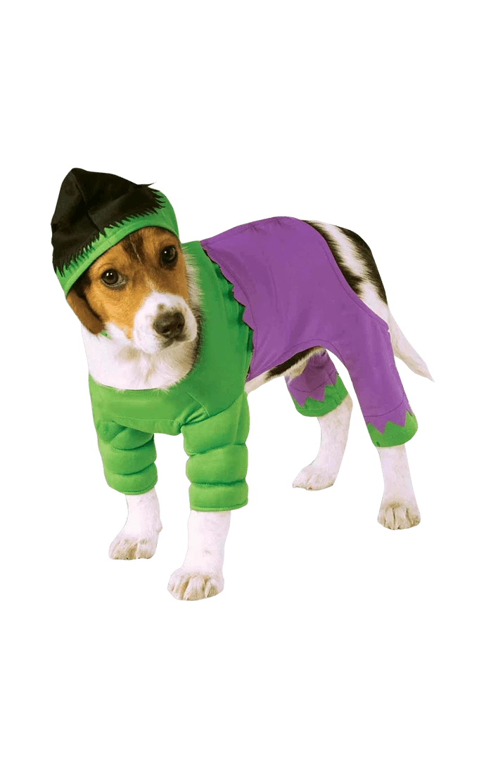 Rubies Movies Incredible Hulk Dog Costume