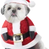 California Costumes Santa Paws Christmas Dog Costume