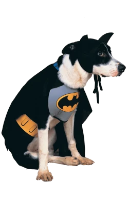 Rubies Movies Batman Dog Costume