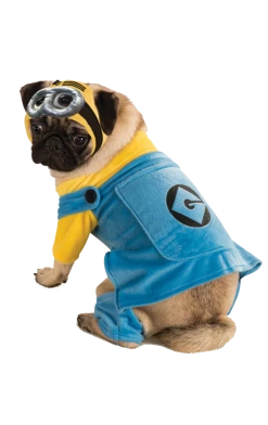 Rubies Minion Dog Costume Movies