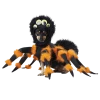 California Costumes Spider Dog Costume Animals