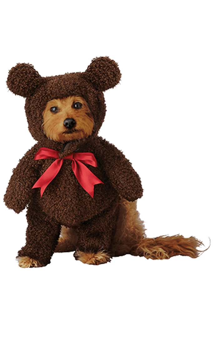 California Costumes Teddy Bear Dog Costume Animals