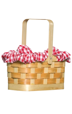 Rasta Imposta Gingham Basket Accessory