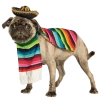 Rubies Around The World Mexi-canine Dog Costume