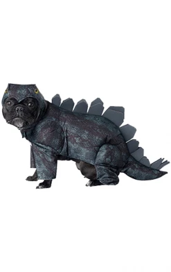 California Costumes Stegosaurus Dog Costume