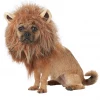 California Costumes King Of The Jungle Dog Costume