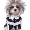 Rubies Beetlejuice Dog Costume