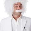 California Costumes Letter E Einstein Wig And Moustache