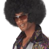 Generic Afro Black Wig 1970's