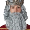 California Costumes Grey Biblical King Wig And Beard Set