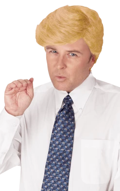 Palmer Comb Over Candidate Wig
