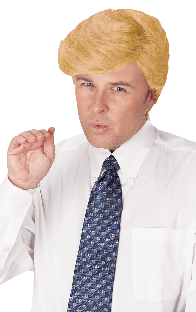 Palmer Comb Over Candidate Wig