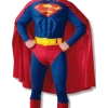 Rubies Book Characters Classic Muscle Superman Costume