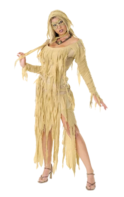 Rubies Womens Mummy Queen Costume Around The World