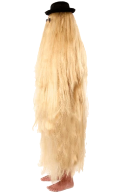 Orion Costumes Adult Hairy Relative Costume