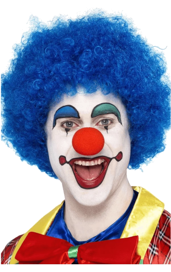 Bristol Novelty Circus Blue Clown Afro Wig