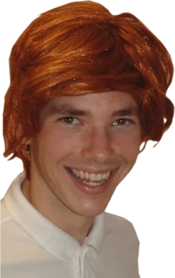 Bristol Novelty Ron Weasley Costume Wig