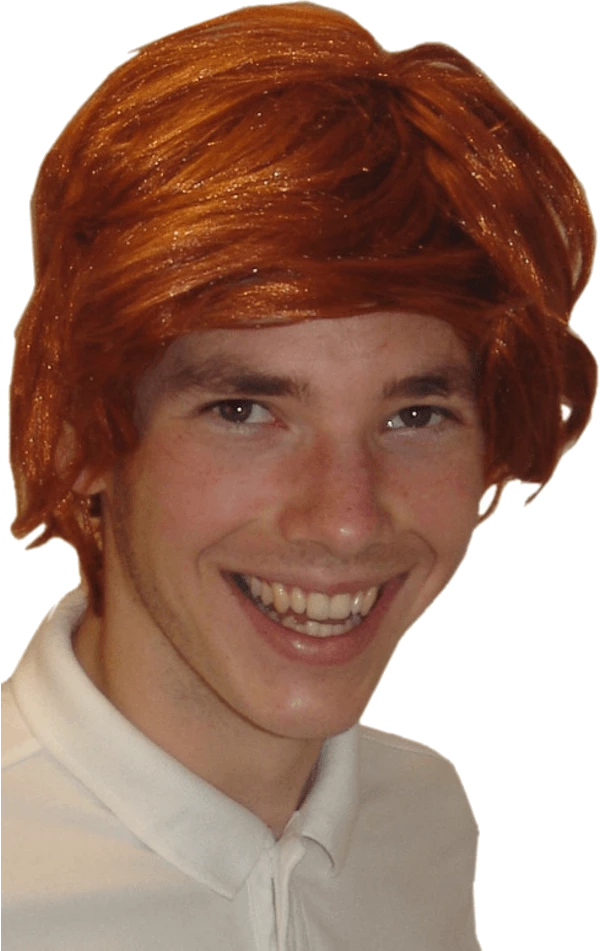 Bristol Novelty Ron Weasley Costume Wig