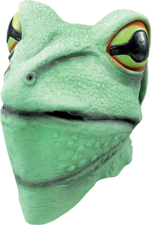 Bristol Novelty Latex Frog Facepiece Animals