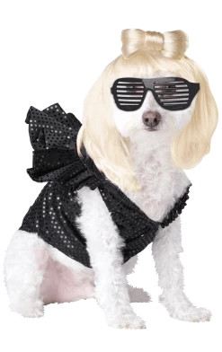 California Costumes Lady Gaga Dog Costume