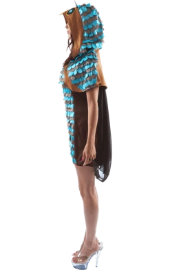 Orion Costumes Womens Owl Dress Costume Animals
