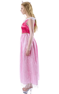 Orion Costumes Adult Classic Sleeping Beauty Costume Book Characters
