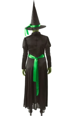Orion Costumes Adult Wicked Green West Witch Costume Book Characters