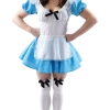 Orion Costumes Adult Original Alice In Wonderland Costume Book Characters