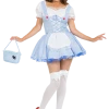Orion Costumes Fairytales Womens Storybook Dorothy Costume
