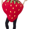 Smiffys Costumes Under £20 Unisex Strawberry Costume