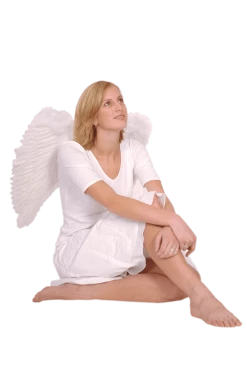 Boland Angels White Angel Wings - Large