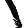 Generic Black Turkey Feather