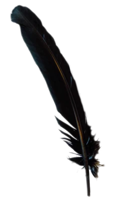 Generic Black Turkey Feather
