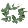 Bristol Novelty Green Roman Wreath Accessory