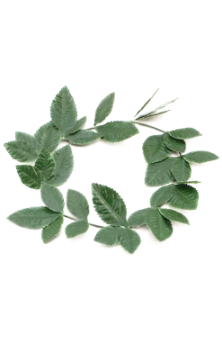 Bristol Novelty Green Roman Wreath Accessory