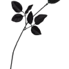 Bristol Novelty Single Black Rose Accessory