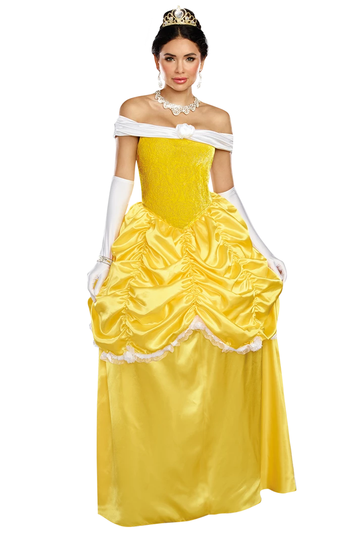 Dreamgirl Fairytales Fairytale Beauty Costume