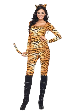 Dreamgirl Womens Wild Tiger Costume