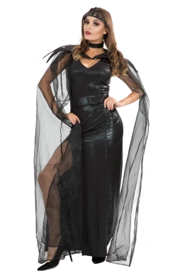 Dreamgirl Queen Of Mean Costume