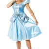 Rubies Book Characters Disney Cinderella Gown Costume