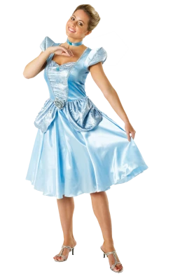 Rubies Book Characters Disney Cinderella Gown Costume