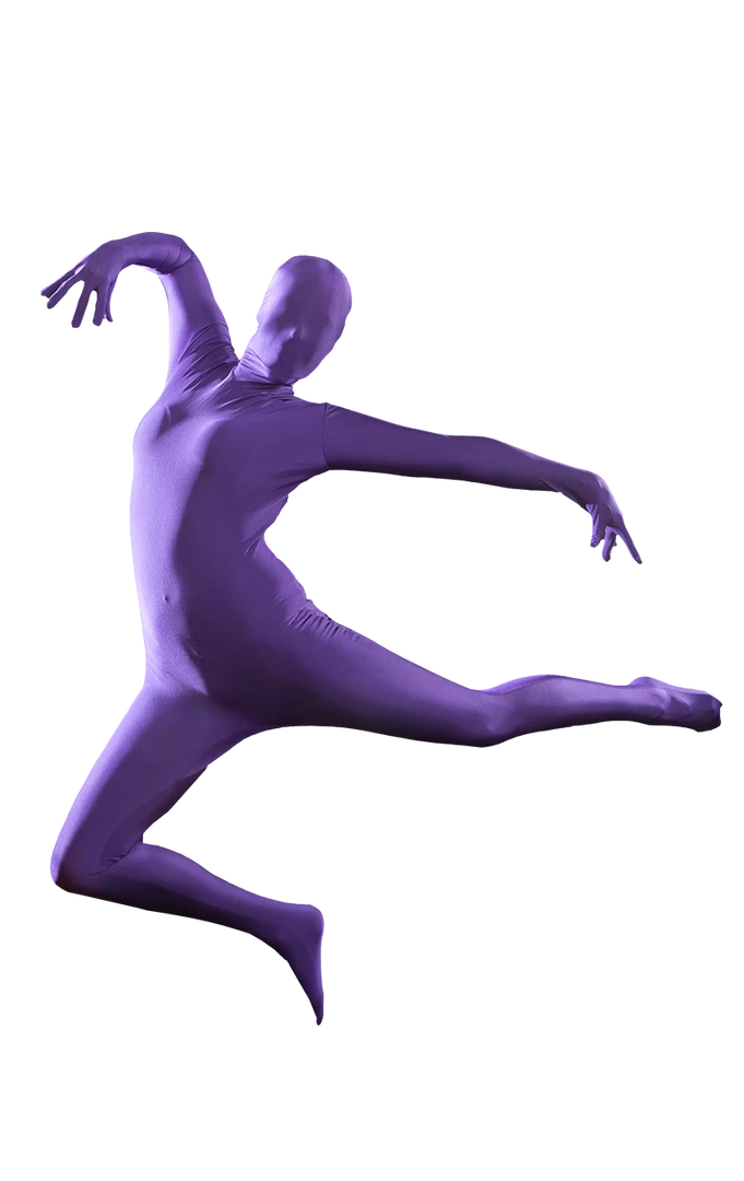 Body Republic Morphsuit Purple Costume