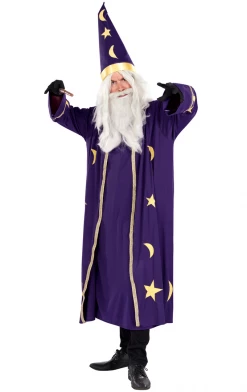 Orion Costumes Mens Classic Wizard Costume Fairytales
