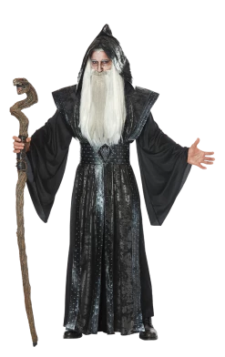 California Costumes Mystic Wizard Costume Harry Potter