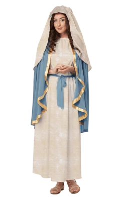 Generic Adult The Virgin Mary Costume